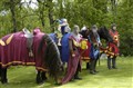 Nationaldag 2011 025.jpg