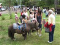 2013-06-06 12.02.02.jpg