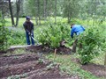 2013-07-02 08.10.49.jpg