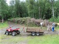2013-07-05 10.22.32.jpg