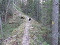 Naturstigar och renovering 023.JPG