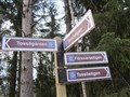 Naturstigar och renovering 042.JPG