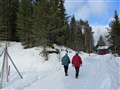 Tossö natur 023.jpg