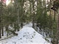 Tossö natur 033.jpg