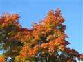 2013-09-25 16.23.39.jpg