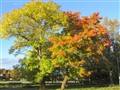 2013-09-25 16.24.30.jpg