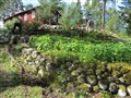 28. Odling.jpg