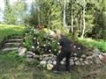Trädgård 1.jpg