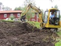 Trädgård 2.jpg