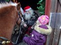 Häst o tomte jul.JPG